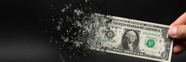  the U.S. Dollar Crisis