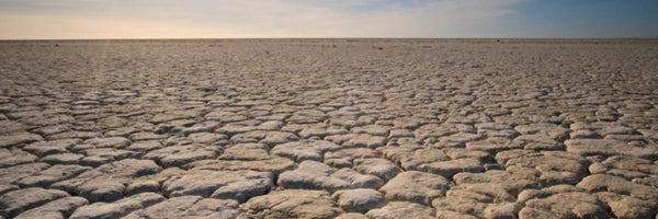  Portfolio From Extreme Weather