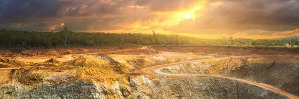Releases 2023 Year-End Report