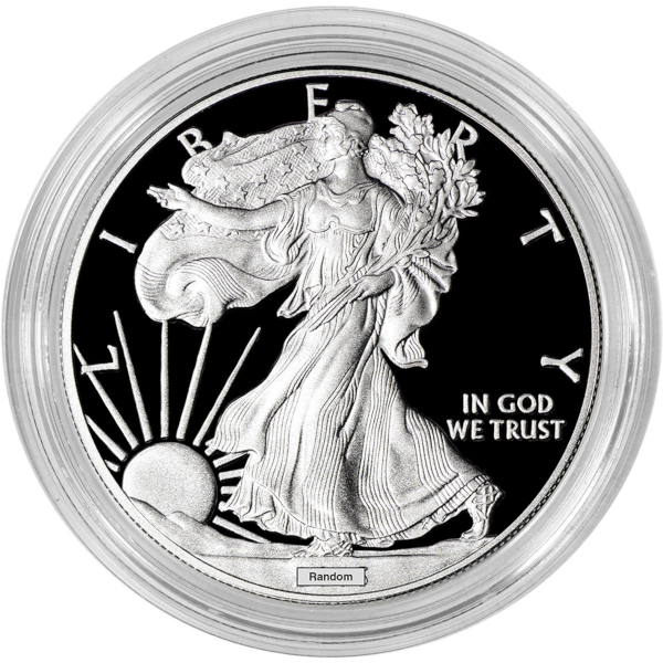 1 OZ AMERICAN SILVER EAGLE PROOF CAPSULE ONLY - Obverse
