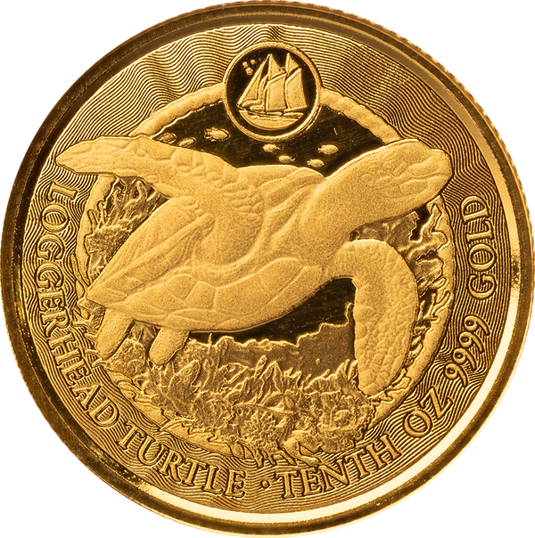 2023 Cayman Islands | Loggerhead Turtle 1/10th oz Gold Coin