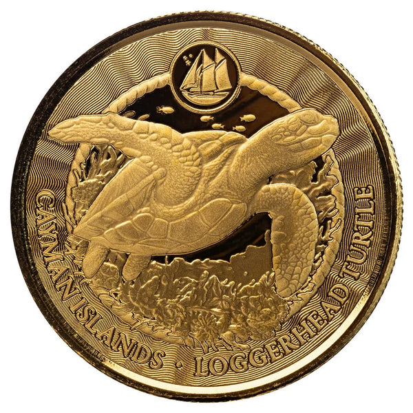 2024 Cayman Islands | Loggerhead Turtle 1 oz Gold Coin