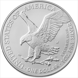 2025 1 OZ AMERICAN SILVER EAGLE 2
